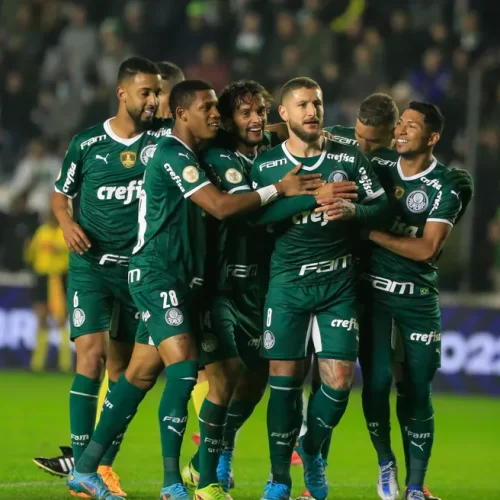 Contra o desgaste físico, o Palmeiras fará alterações para a Copa do Brasil